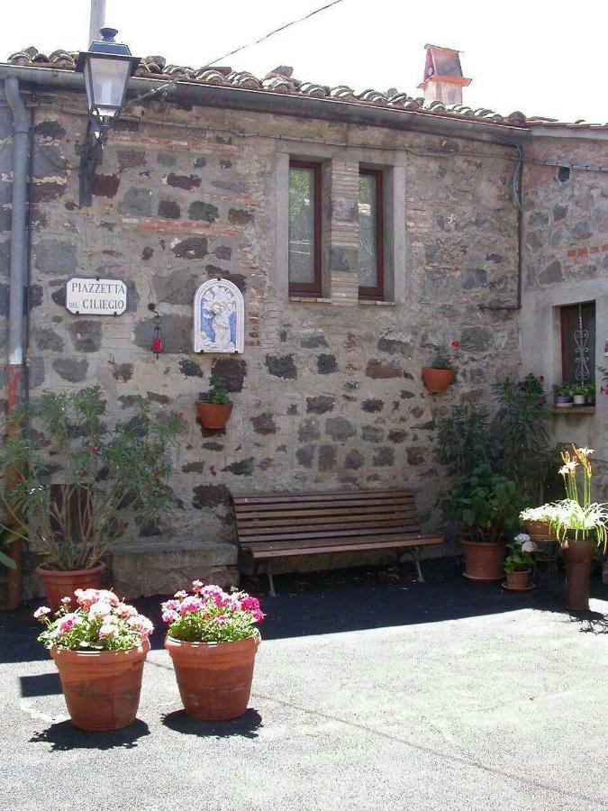 Casa Del Ciliegio Villa Radicofani Dış mekan fotoğraf